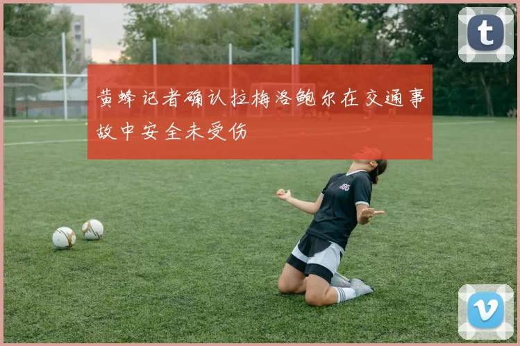黄蜂记者确认拉梅洛鲍尔在交通事故中安全未受伤
